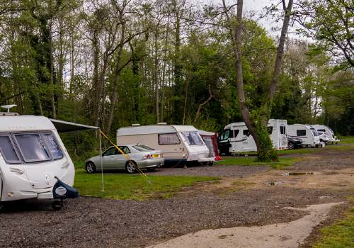 RVs parked in the campground near the forest