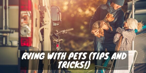 10 Tips for RVing With Pets