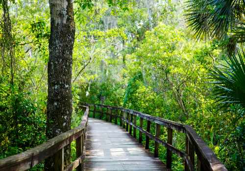 Florida National scenic trail