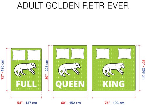 A full, queen, and king size bed compare to a golden retriever