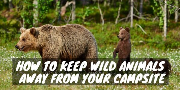 How to Keep Wild Animals Away From Your Campsite