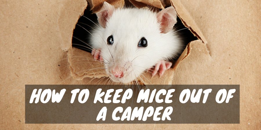 To keep mice out of a camper