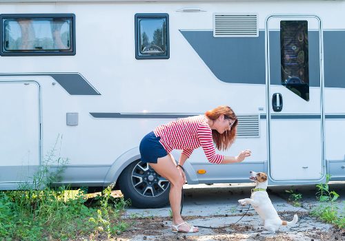 An RV travel with pets