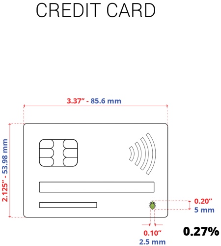 The size of a bed bug compared to a credit card